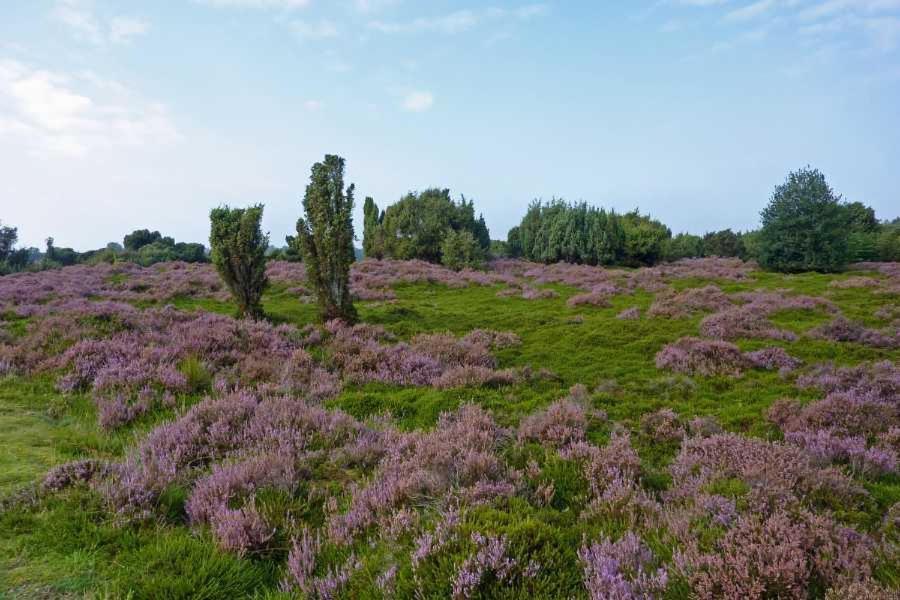Huisje Venzicht 7 Spier Exteriér fotografie